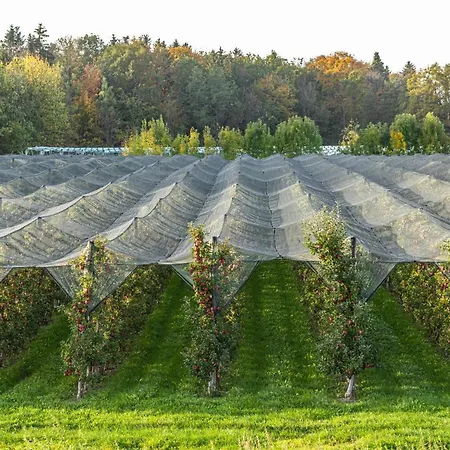 Ferien Am 3 アパート