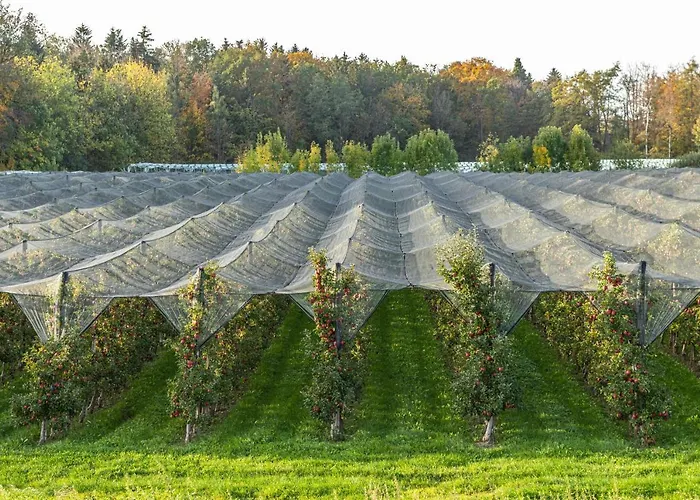 Ferien Am 3 Apartamento